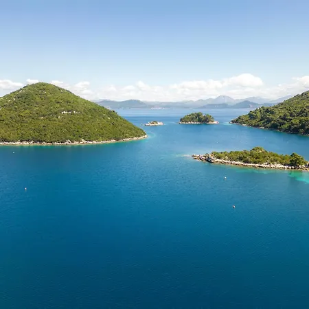 Sunny Octopus * Prozura