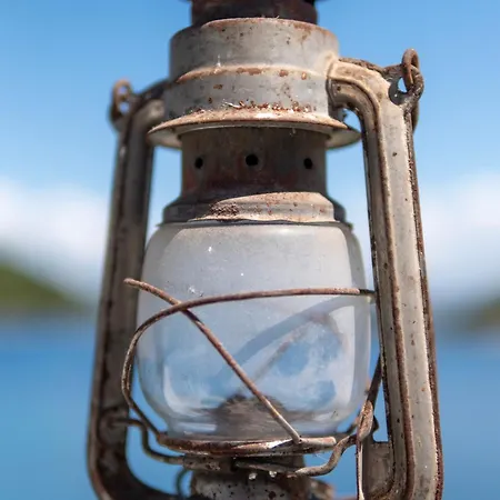 Sunny Octopus Prožura