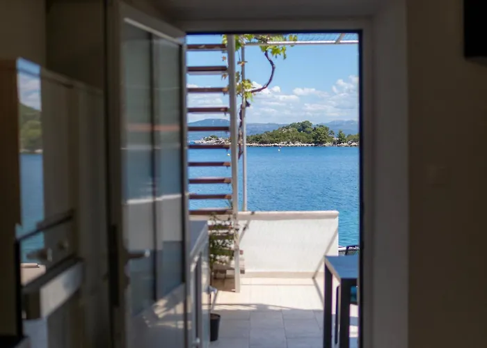 Sunny Octopus * Prožura