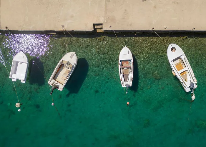 아파트 Sunny Octopus *