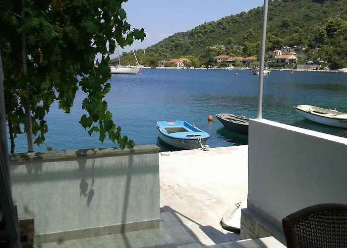 Sunny Octopus 아파트 Prožura