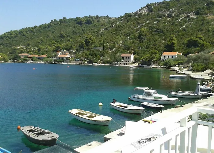 Sunny Octopus 아파트 *